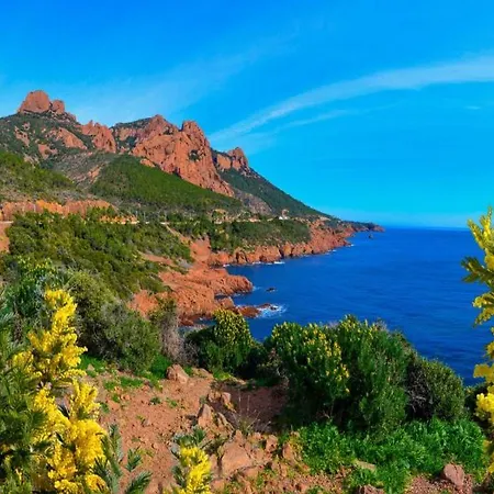 Palmier Ville - Juan-les-pins, Studio Flat, 2 Persons 酒店 *